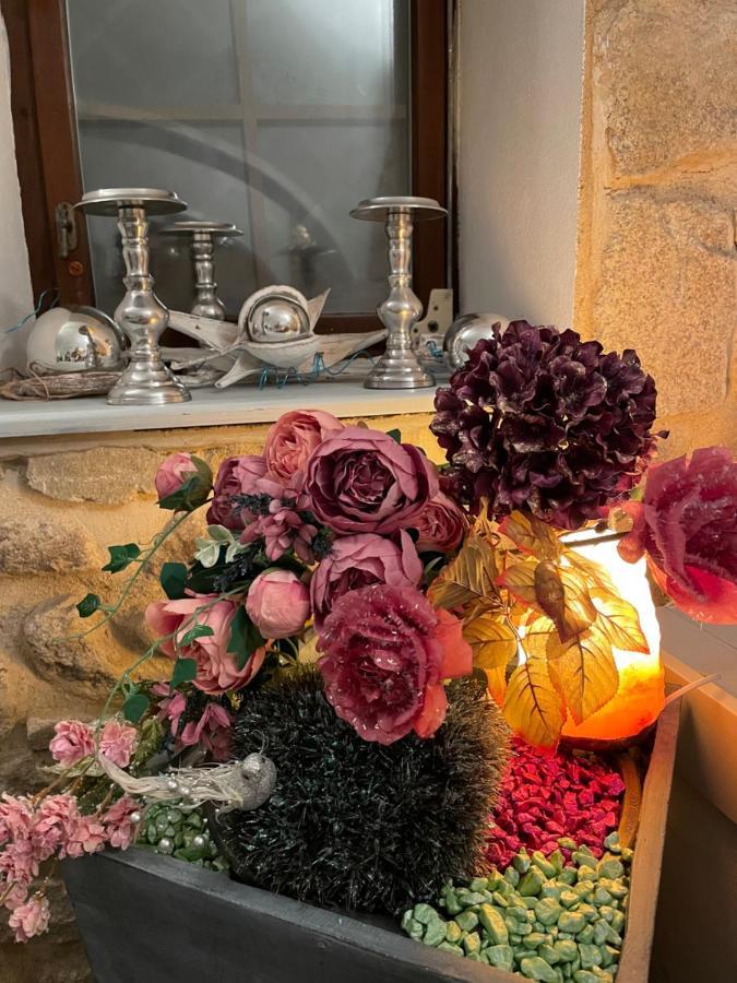 Pensjonat Sancta Katharina Rozvadov Zewnętrze zdjęcie